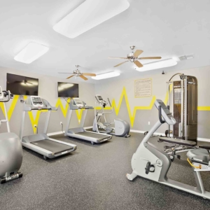 Fitness center with treadmills, elipticals, bike and weight machine
