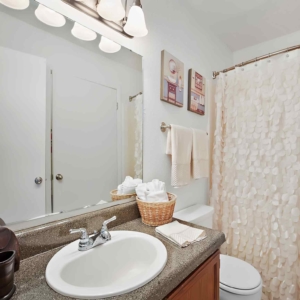 Bathroom with shower in model home at cypress lake