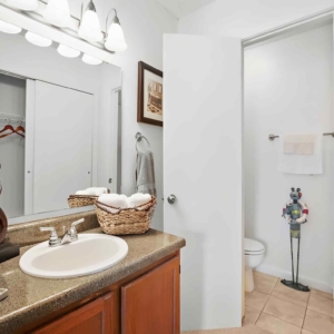 Single vanity bathroom in the model home at Cypress Lake